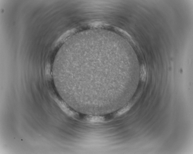 X0000085230670200704091959