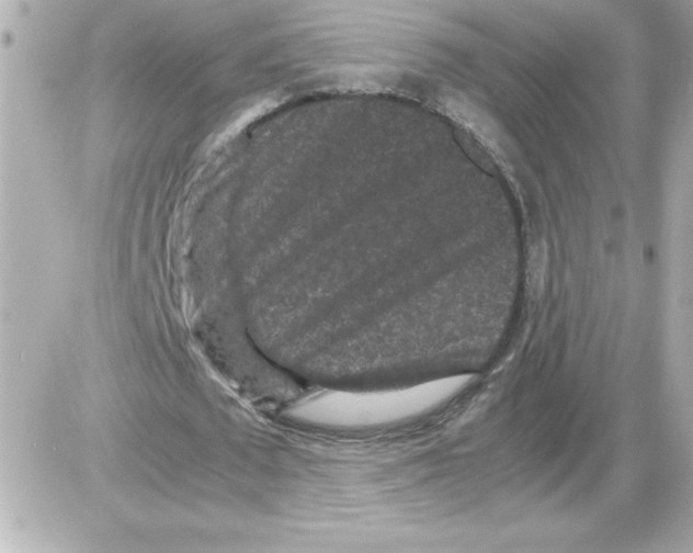 X0000085230673200704091958