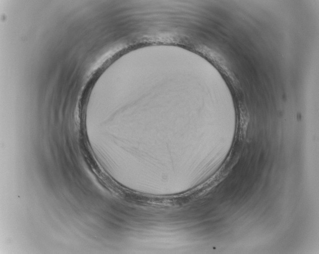 X0000085230674200704091958