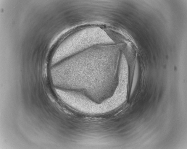 X0000085230676200704091958