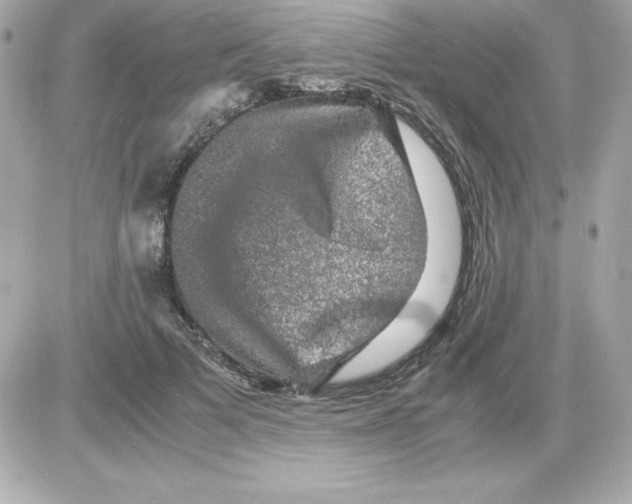X0000085230697200704091958