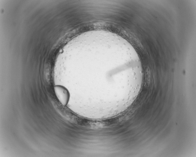 X0000085230698200704091958