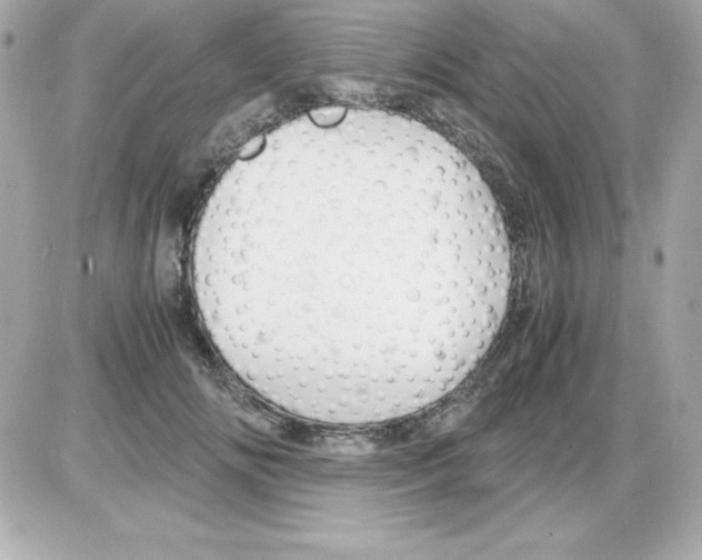 X0000085230702200704091957