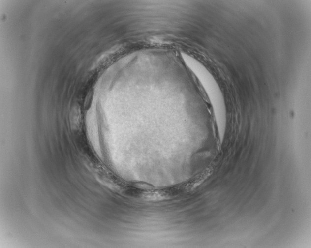 X0000085230704200704091957