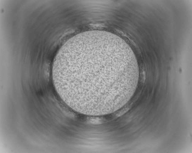 X0000085230710200704091957