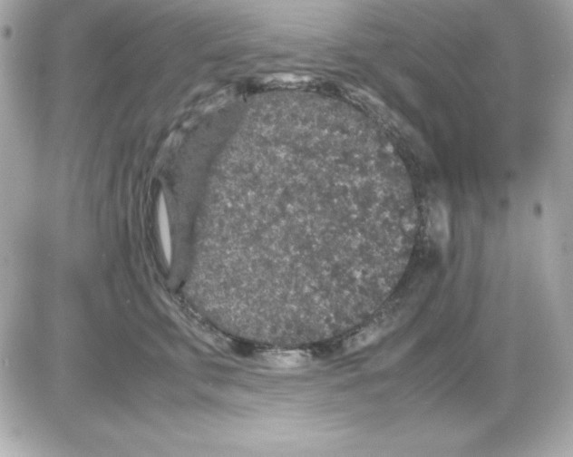 X0000085230711200704091957