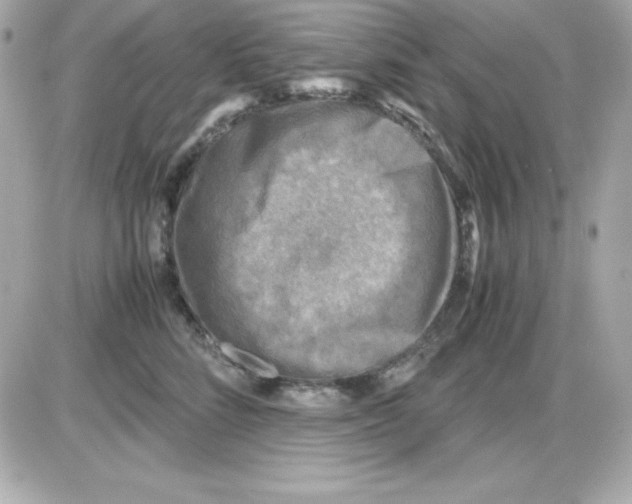 X0000085230712200704091957
