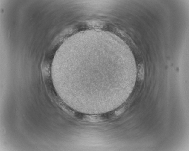 X0000085230713200704091957