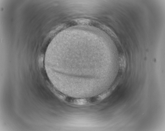 X0000085230717200704091957