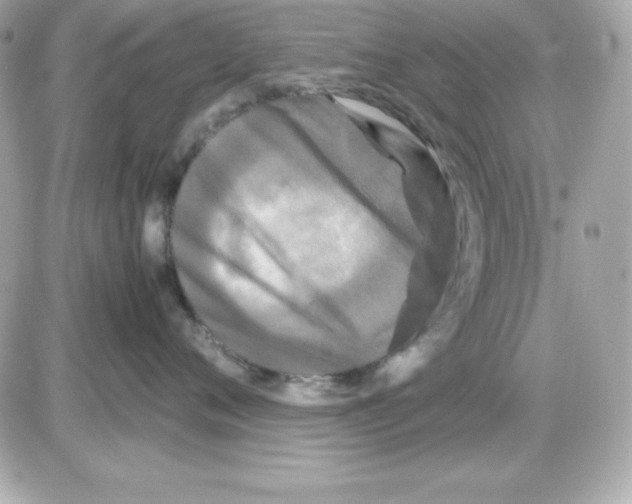X0000085230720200704091957