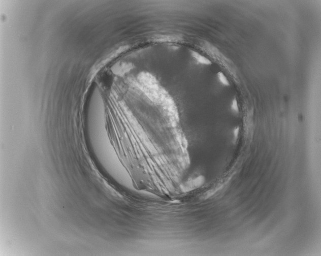 X0000085230721200704091956
