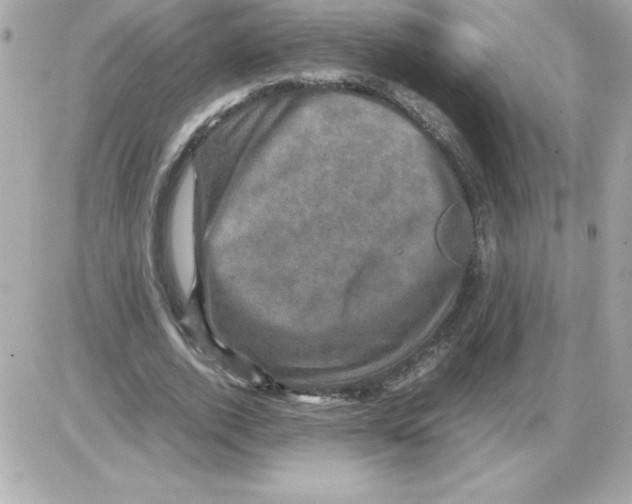 X0000085230728200704091956