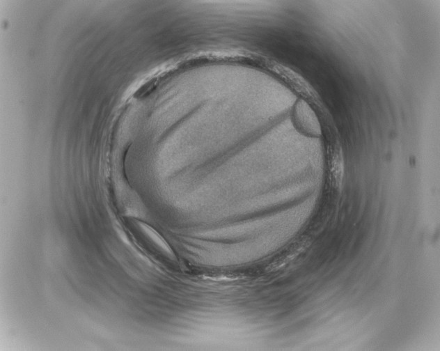 X0000085230732200704091957