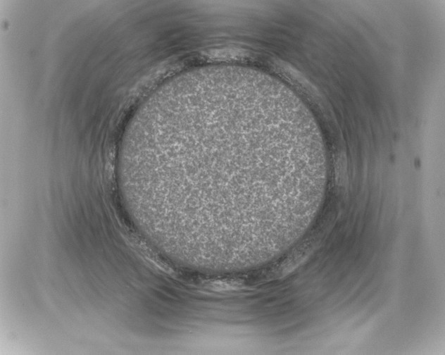 X0000085230737200704091957