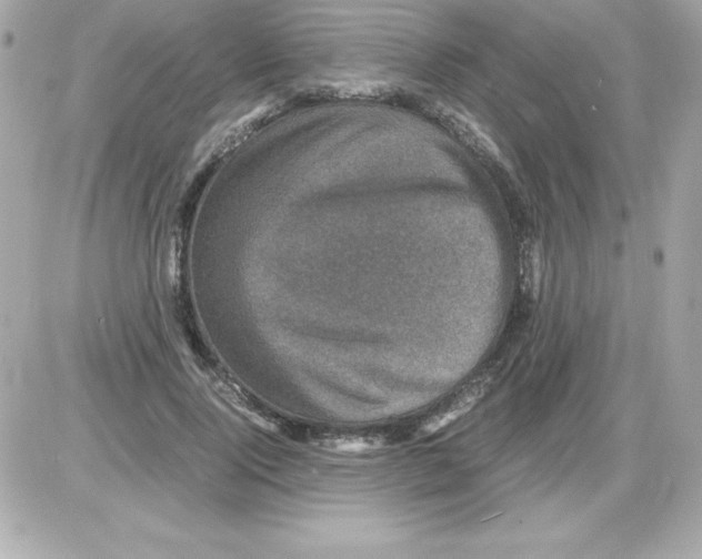 X0000085230740200704091957