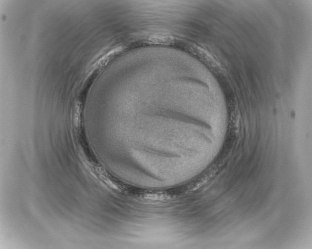 X0000085230744200704091957