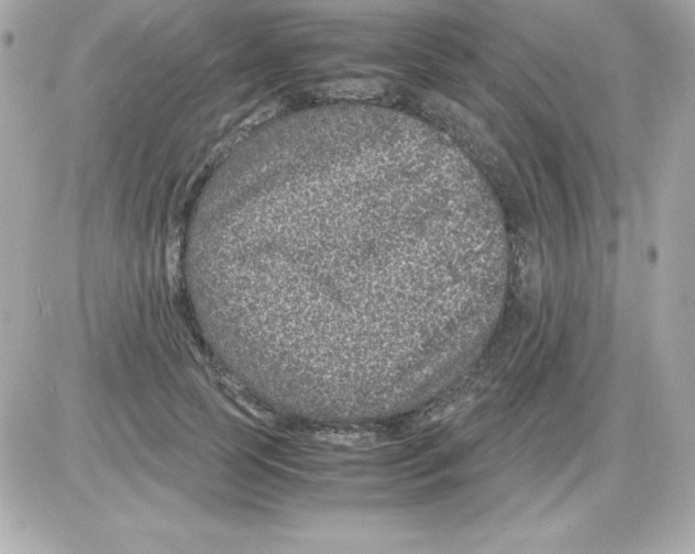 X0000085230745200704091957