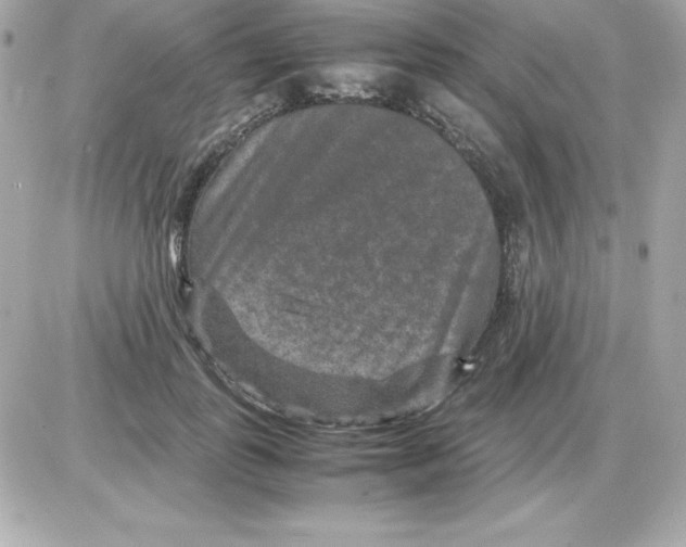 X0000085230747200704091957