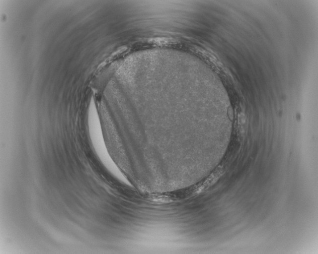 X0000085230750200704091957