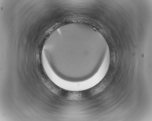 X0000085230754200704091957