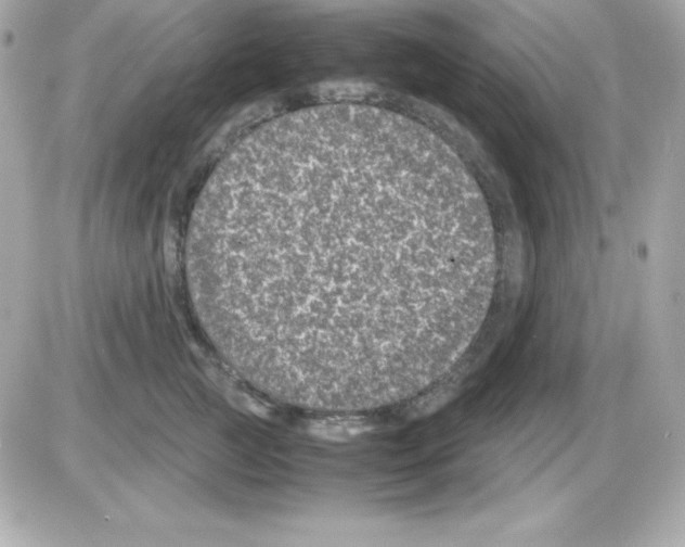 X0000085230761200704091957