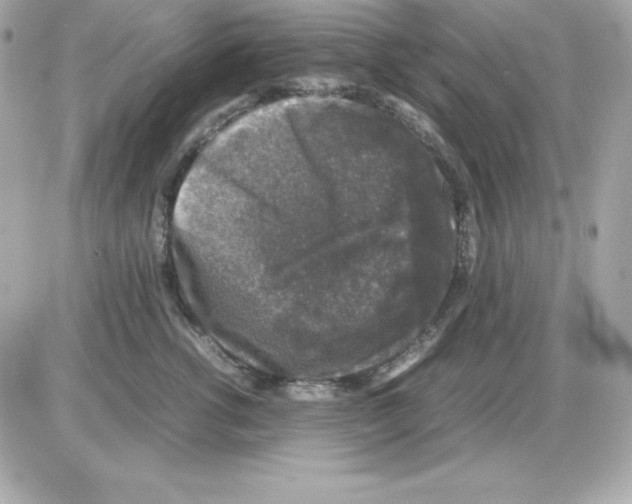 X0000085230762200704091957