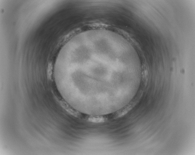 X0000085230767200704091957