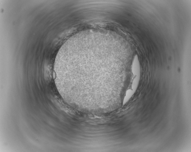 X0000085230772200704091956