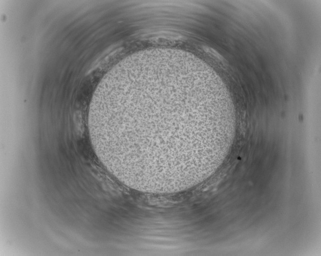 X0000085230774200704091956