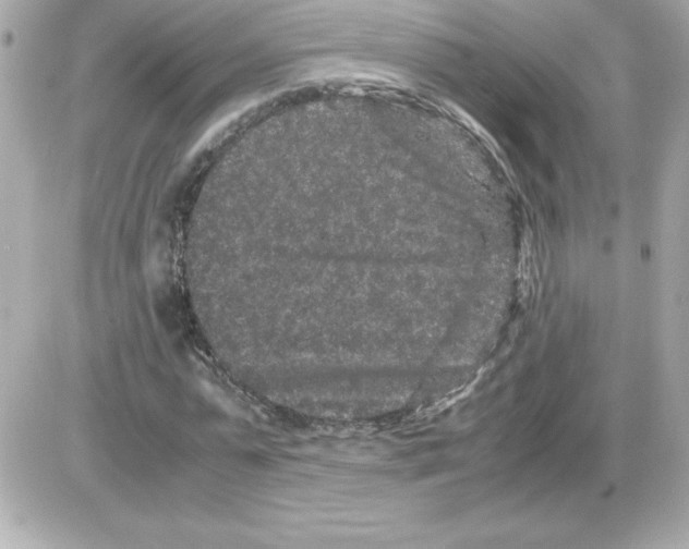 X0000085230775200704091956