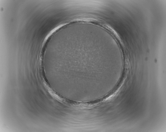 X0000085230779200704091956