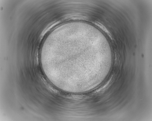 X0000085230782200704091956