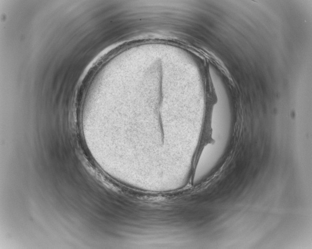X0000085230784200704091956