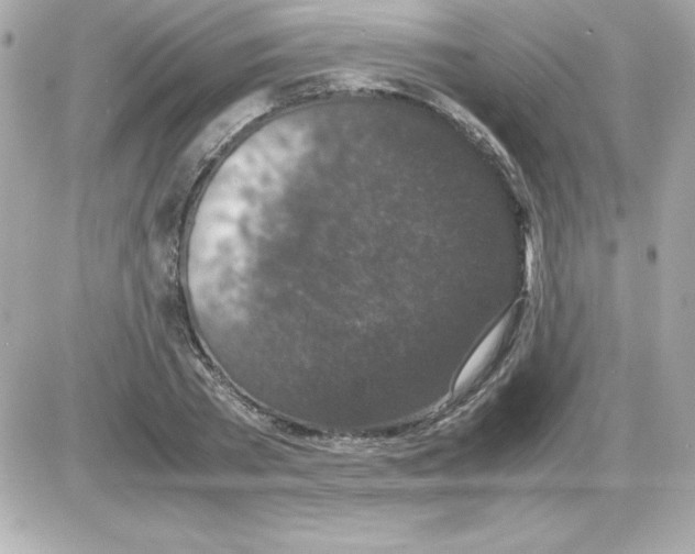 X0000085230785200704091956