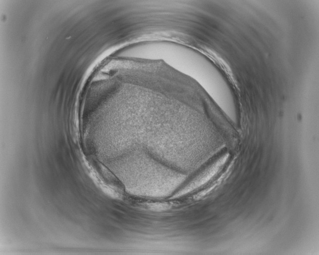 X0000085230792200704091956