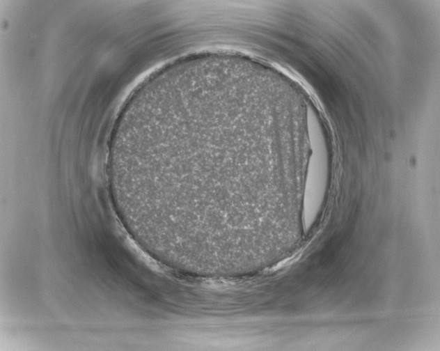 X0000085230799200704091956