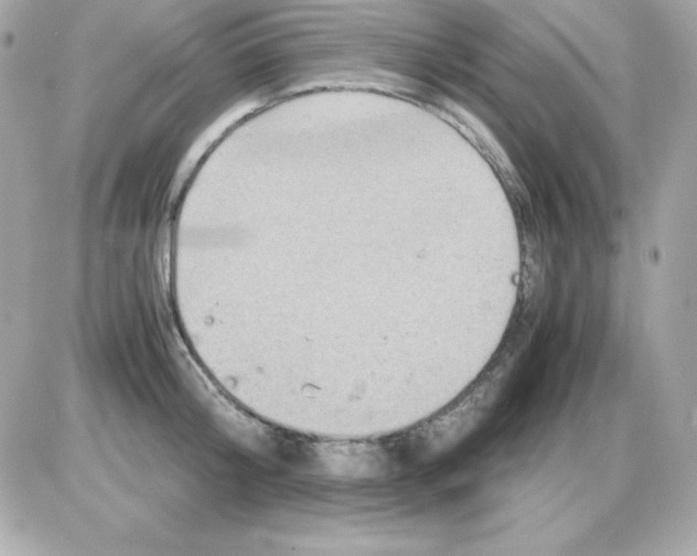X0000085230804200704091956