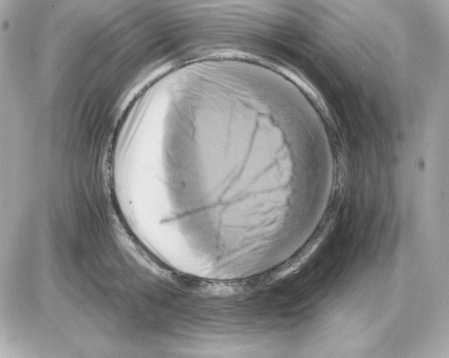 X0000085230806200704091956