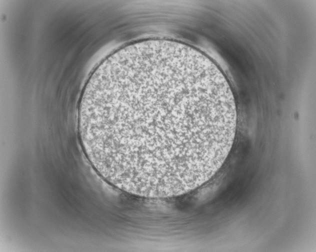 X0000085230807200704091956