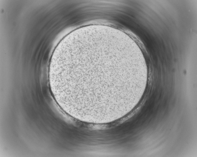 X0000085230808200704091956