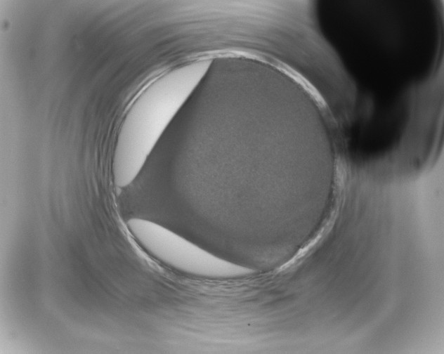 X0000085230809200704091956