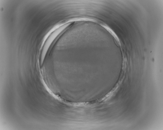 X0000085230813200704091956