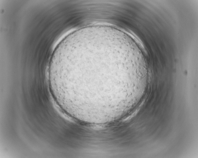 X0000085230814200704091956