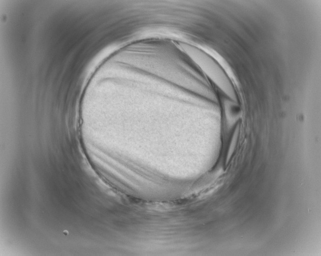 X0000085230815200704091956