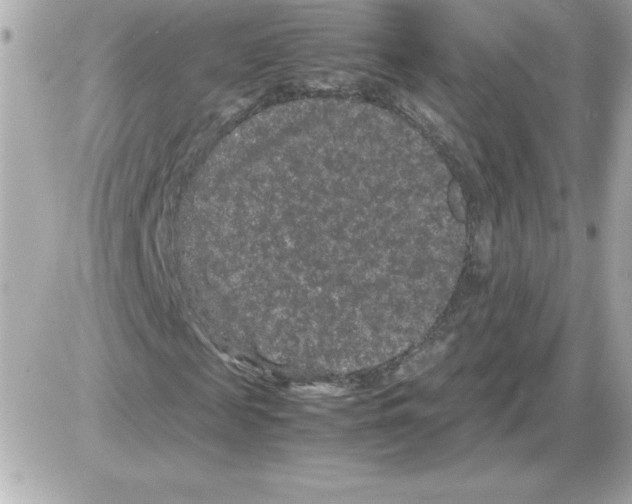 X0000085230817200704091955