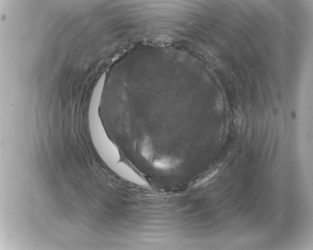 X0000085230818200704091955