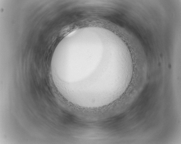 X0000085230820200704091955
