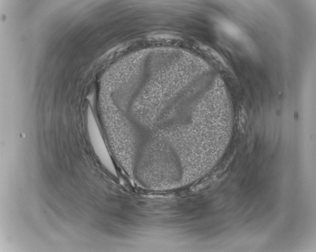 X0000085230821200704091955