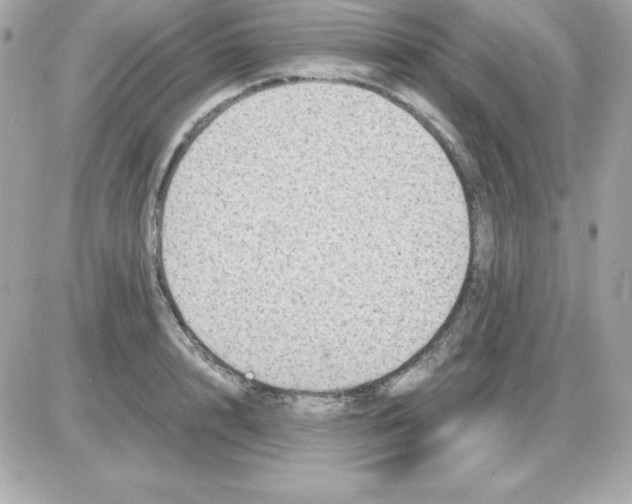 X0000085230848200704091955