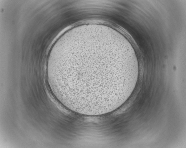 X0000085230852200704091955